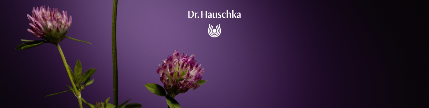 Dr. Hauschka Regenerationspflege
