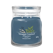 Yankee Candle BAYSIDE CEDAR Signature Jar