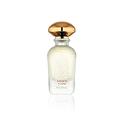 Widian London All Over Spray Eau de Toilette