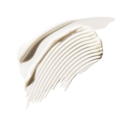 Aveda Color Control Leave-In Treatment Rich