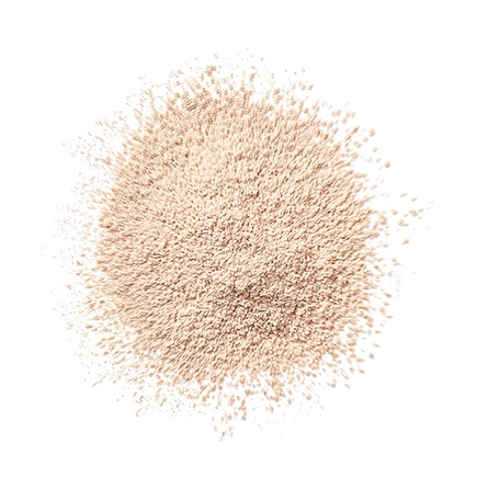 Clinique Blended Face Powder