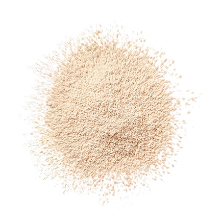 Clinique Blended Face Powder