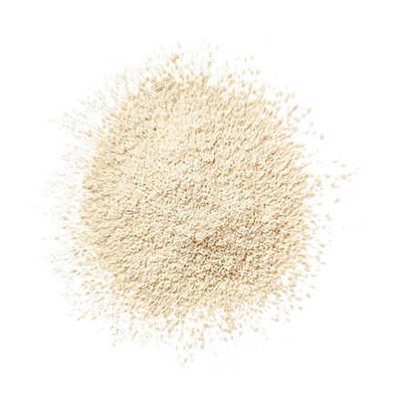Clinique Blended Face Powder