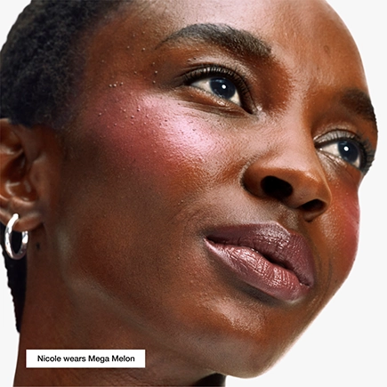 Clinique Chubby Stick Moisturizing Lip Color Balm