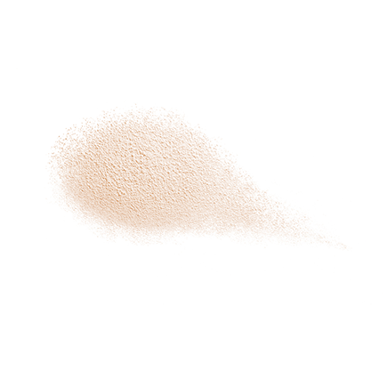 Shiseido Future Solution LX Total Radiance Loose Powder