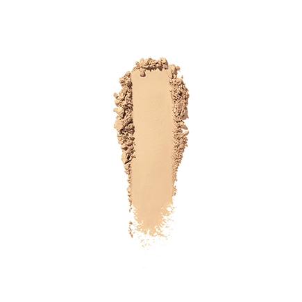 Shiseido Synchro Skin Self-Refreshing Custom Finish Powder Foundation