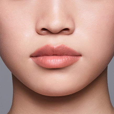 Shiseido LipLiner InkDuo
