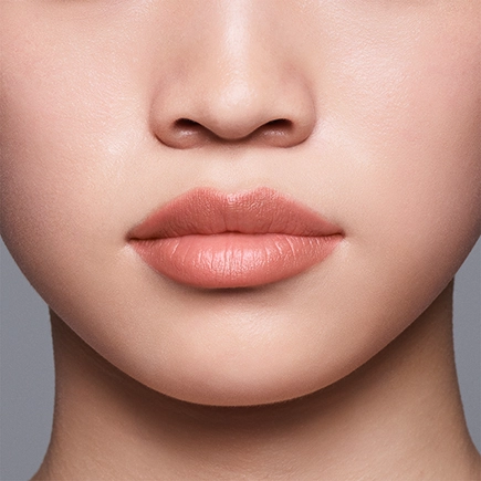 Shiseido LipLiner InkDuo