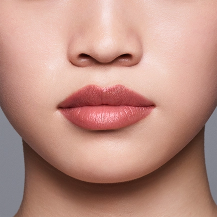 Shiseido LipLiner InkDuo