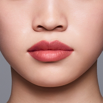 Shiseido LipLiner InkDuo