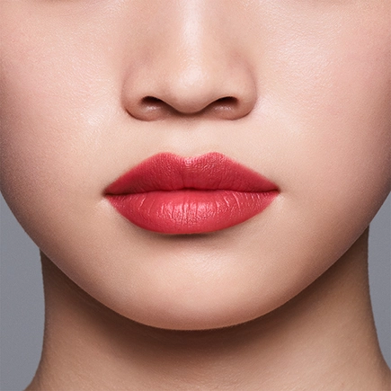 Shiseido LipLiner InkDuo