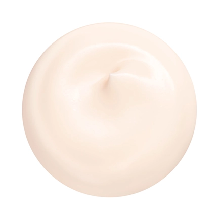 Shiseido Hydrating Day Cream SPF 20
