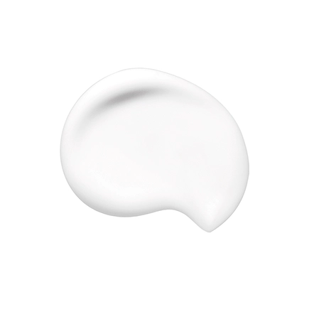 Shiseido Synchro Skin Soft Blurring Primer