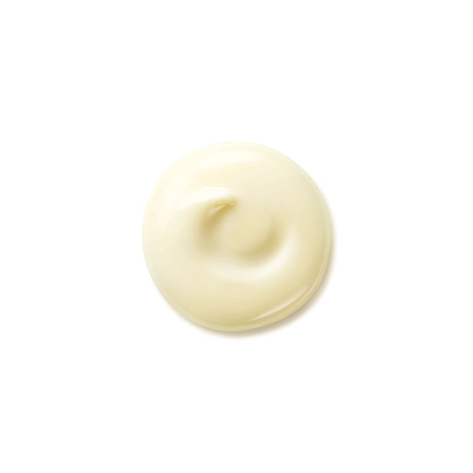 Shiseido Benefiance Wrinkle Smoothing Day Cream SPF 25