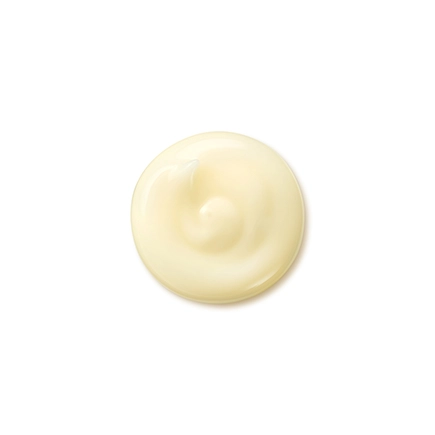 Shiseido Benefiance Wrinkle Smoothing Cream