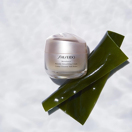 Shiseido Benefiance Wrinkle Smoothing Cream