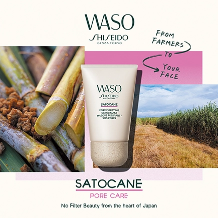 Shiseido Satocane Pore Puryfing Scrub Mask