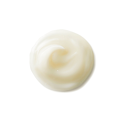 Shiseido Benefiance NutriPerfect Day Cream SPF15