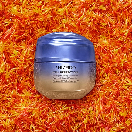 Shiseido Overnight Firming Treatment