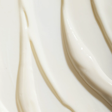 Philip B Conditioner Everyday Beautiful Conditioner