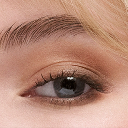 Estée Lauder Pure Color the Essential Eyeshadow Quad