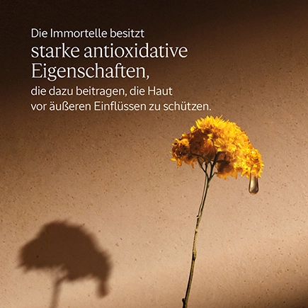 L'Occitane IMMORTELLE DIVINE AUGENBALSAM