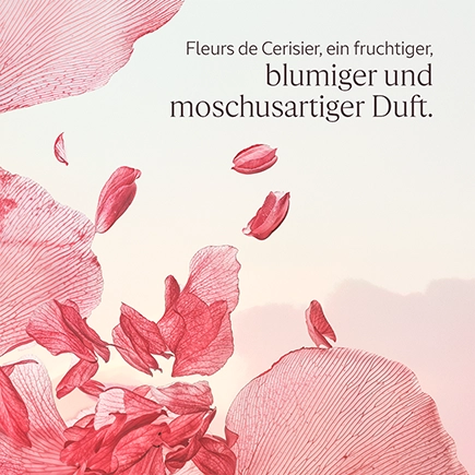 L'Occitane FLEURS DE CERISIER KÖRPERMILCH