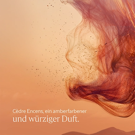 L'Occitane CÈDRE ENCENS DUSCHGEL