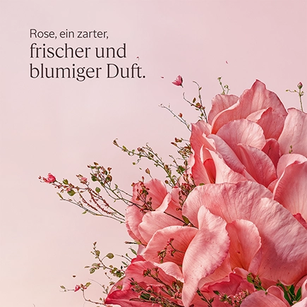L'Occitane ROSE EAU DE TOILETTE