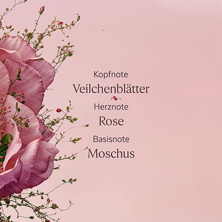 L'Occitane ROSE EAU DE TOILETTE