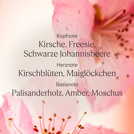 L'Occitane FLEURS DE CERISIER EAU DE TOILETTE