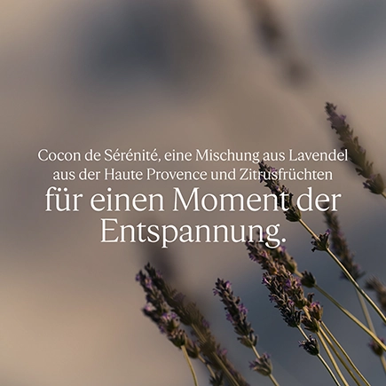 L'Occitane ENTSPANNENDER KOPFKISSENNEBEL
