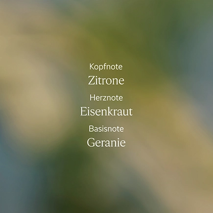 L'Occitane VERVEINE DUSCHGEL NACHFÜLLPACKUNG