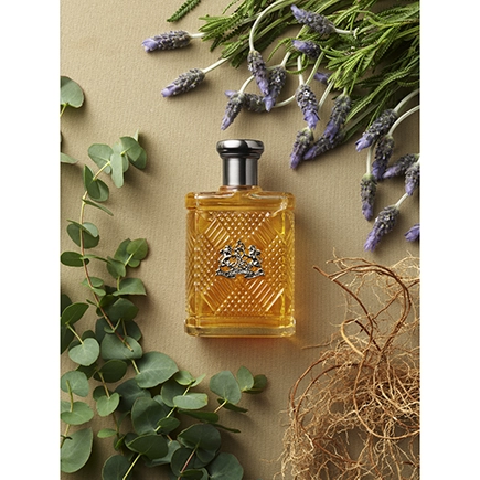 Ralph Lauren Safari for Men Eau de Toilette