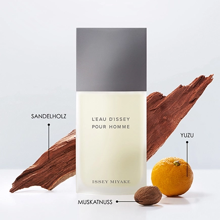 Issey Miyake L'Eau D'Issey Pour Homme Eau de Toilette Natural Spray