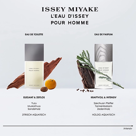 Issey Miyake L'Eau D'Issey Pour Homme Eau de Toilette Natural Spray