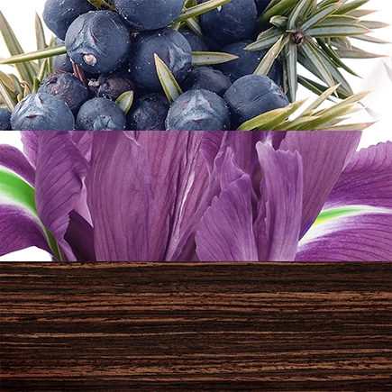 Davidoff The Game Eau de Toilette Natural Spray