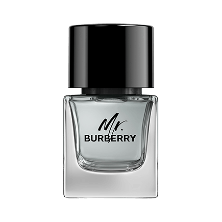 Burberry MR. BURBERRY Eau de Toilette