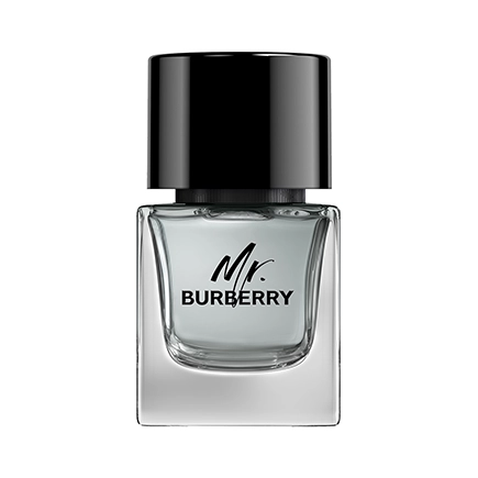 Burberry MR. BURBERRY Eau de Toilette