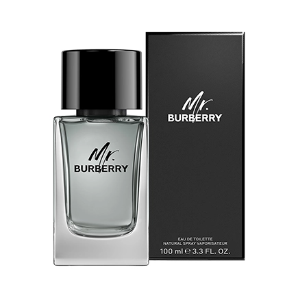Burberry MR. BURBERRY Eau de Toilette