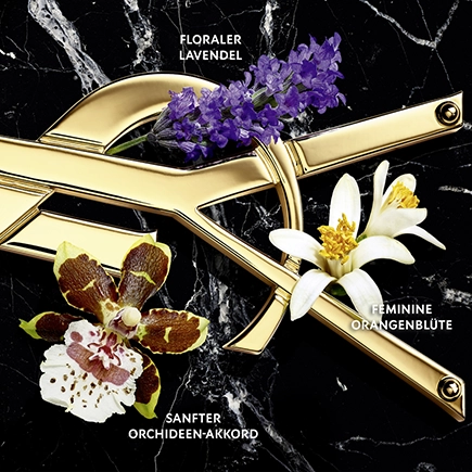 Yves Saint Laurent Libre Intense Eau de Parfum Vapo