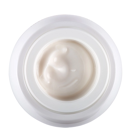 Helena Rubinstein Re-Plasty Age Recovery Day
