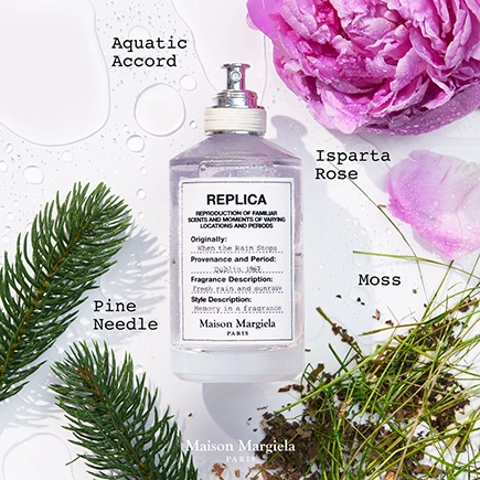 Maison Margiela When The Rain Stops Eau de Toilette