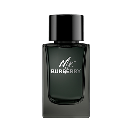 Burberry MR. BURBERRY Eau de Parfum