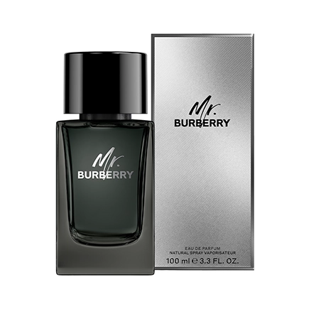 Burberry MR. BURBERRY Eau de Parfum