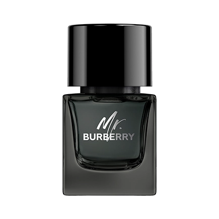 Burberry MR. BURBERRY Eau de Parfum