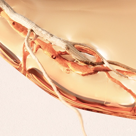 Hugo Boss BOSS ALIVE Intense Eau de Parfum