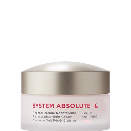 Annemarie Börlind SYSTEM ABSOLUTE Regenerierende Nachtcreme