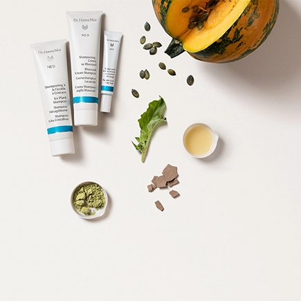 Dr. Hauschka MED Kopfhautmaske Kürbiskern