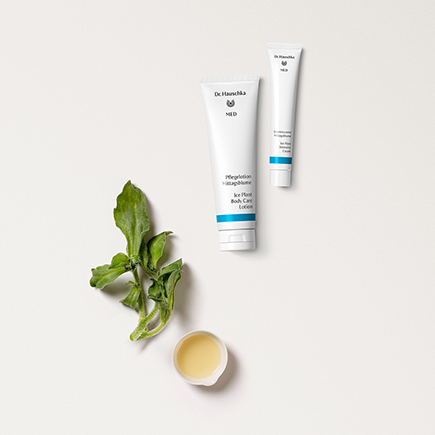 Dr. Hauschka MED Intensivcreme Mittagsblume
